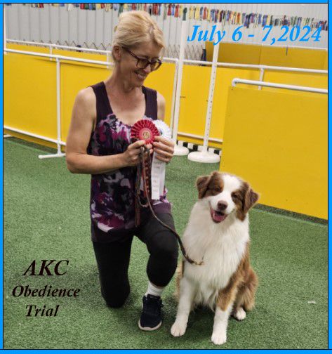 AKC CD